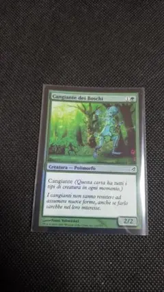 MTG 森林の変わり身 イタリア語 foil