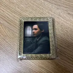 ハリーポッター　トム・リドル　肖像画マグネットコレクションのサムネイル