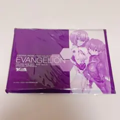 エヴァンゲリオン ヤングエース 限定 キーホルダー セット レイ アスカ