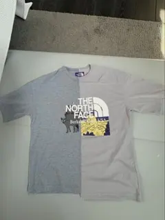 2026年最新】THE NORTH FACE PURPLE LABEL 柄・デザイン：プリント