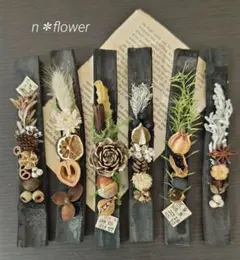 2026年最新】アサギリソウの人気アイテム - メルカリ