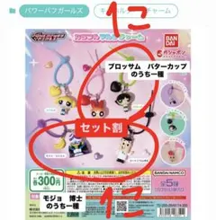 パワーパフガールズ カラフルマルチチャーム 2個セット