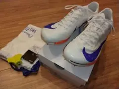 Item thumbnail for item ffcc907d-63cf-4648-bb93-e192fa57acf0