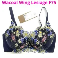 Item thumbnail for item f2a46e5e-0256-4095-bd32-a76ffc3ceb04