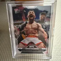 Item thumbnail for item ecf22ec1-fb18-4b7a-b175-28f2fdd5fe63