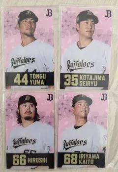 Item thumbnail for item acba932e-3a4d-4674-8e44-58a104d9d6ac