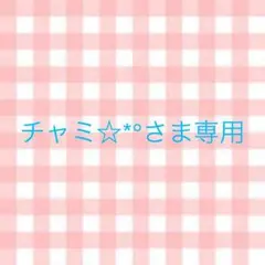 チャミ☆*°さま専用