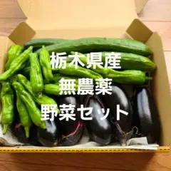 【朝どり】野菜セット
