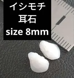 イシモチ 耳石 お守りパワーストーン天然石宝石開運受験F33