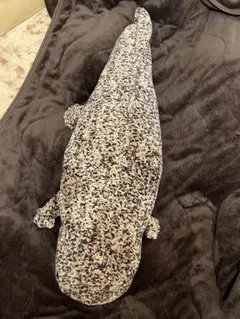 オオサンショウウオ ぬいぐるみ 京都水族館