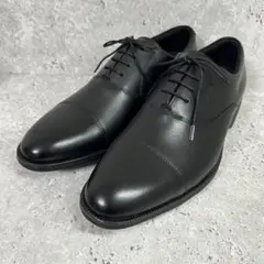 【ほぼ新品】texcy luxe 26.5 ストレートチップ 内羽根 asics