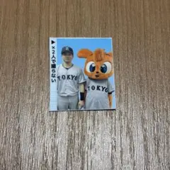 ジャイアンツ 巨人 泉口友汰 証明写真