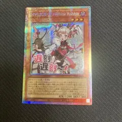 2026年最新】マリスポーンホワイトラビットの人気アイテム - メルカリ