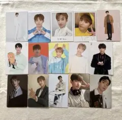 SEVENTEEN ドギョムトレカ　15枚セット