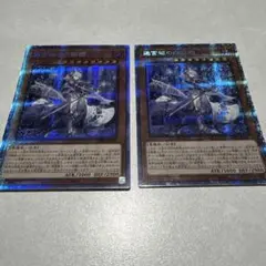 迷宮城の白銀姫 プリズマ 2枚セット