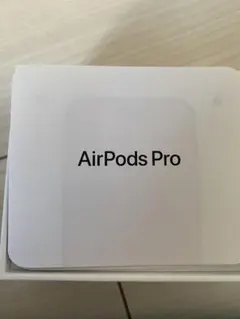 Apple AirPods Pro3 本体　【美品】のサムネイル