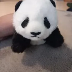パンダ ぬいぐるみ