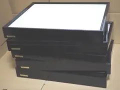 2025年最新】標本箱 ドイツの人気アイテム - メルカリ