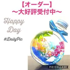 【熱帯魚】〜❄︎クマノミMix❄︎〜蓄光アクアリウム❤︎大容量❤︎オーダー受付ページ♪