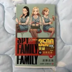 SPY×FAMILY 13