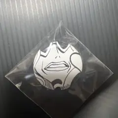 ワンピース アーロン一味の大幹部 チュウ 缶バッジ - メルカリ