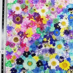 かじゅ様 リクエスト 3点 まとめ商品