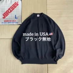 ミ*ニ様 希少 80s USA製 ジャージーズ 無地 ブランク スウェット ブラ