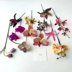 kor様 リクエスト 2点 まとめ商品