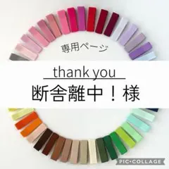 【オーダー】断舎離中！様＊ヘアクリップ20本35mmやっとこピンハンドメイド資材