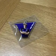 サンフレッチェ広島 プレイヤーズアクリルキーホルダー 新井直人