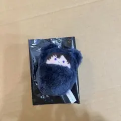 2025年最新】柳愛時 ぬいぐるみの人気アイテム - メルカリ