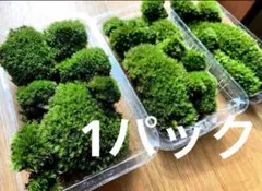 ジュラ様 リクエスト 2点 まとめ商品