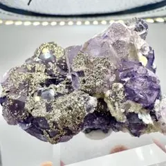 ラベンダーアメジスト♡カップケーキ型♡シュガー♡カルサイト共生No