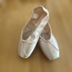 ⭐︎お値下げしました⭐︎【新品未使用】シルビア トゥシューズ 24cm ネオチェリー