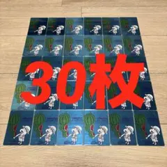 ナツコミ 2026 メタキラカード ワンピース サイン入り 30枚セット