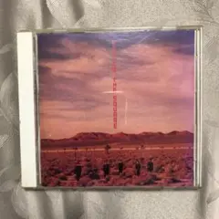THE SQUARE CD 1988年リリース