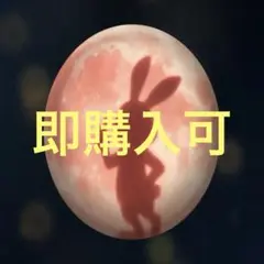 ピカチュウ 星月夜