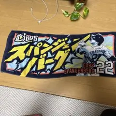 スパンジェンバーグ　タオル