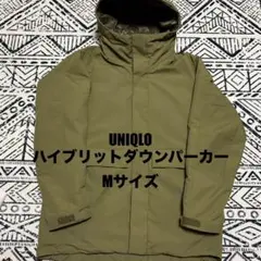 Item thumbnail for item fe81b2bb-114a-4237-81dd-e45a47f5e431