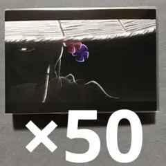 BLEACH 京楽春水 ポストカード 50枚セット
