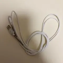 Lightningケーブル USB-A ホワイト 標準サイズ