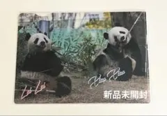 2025年最新】シャオシャオ レイレイ クリアファイルの人気アイテム