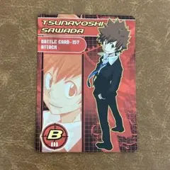 家庭教師ヒットマン　リボーン　サザンクロスバトル　沢田綱吉　復刻版