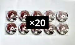 ツイステッドワンダーランド ツイステ 寮服 AGF 缶バッジ リドル 34点