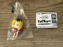 ハイキュー!! 音駒高校 孤爪研磨
