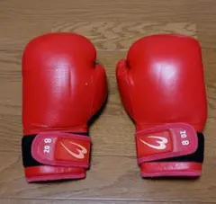 サイン入りグローブ 元世界チャンピオン 井岡弘樹さん Body Maker m33181234314_1.jpg?1742218237