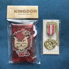 限定価格　三代目 JSB KINGDOM　セット