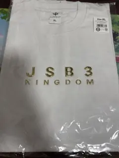 三代目JSB ツアーTシャツ　KINGDOM XLサイズ