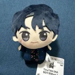 BTS TinyTAN タイニータン DNA ちびぐるみ vol.1 JIN