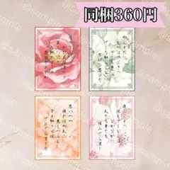 もも様 リクエスト 10点 まとめ商品